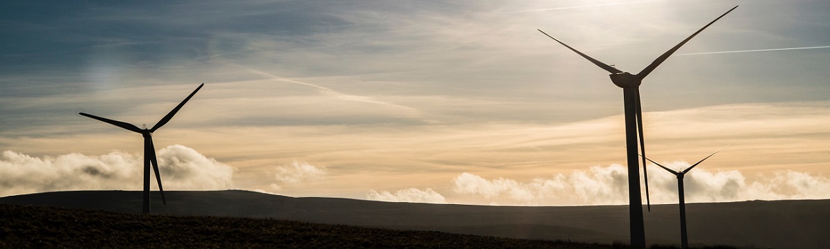 Windwerk news image